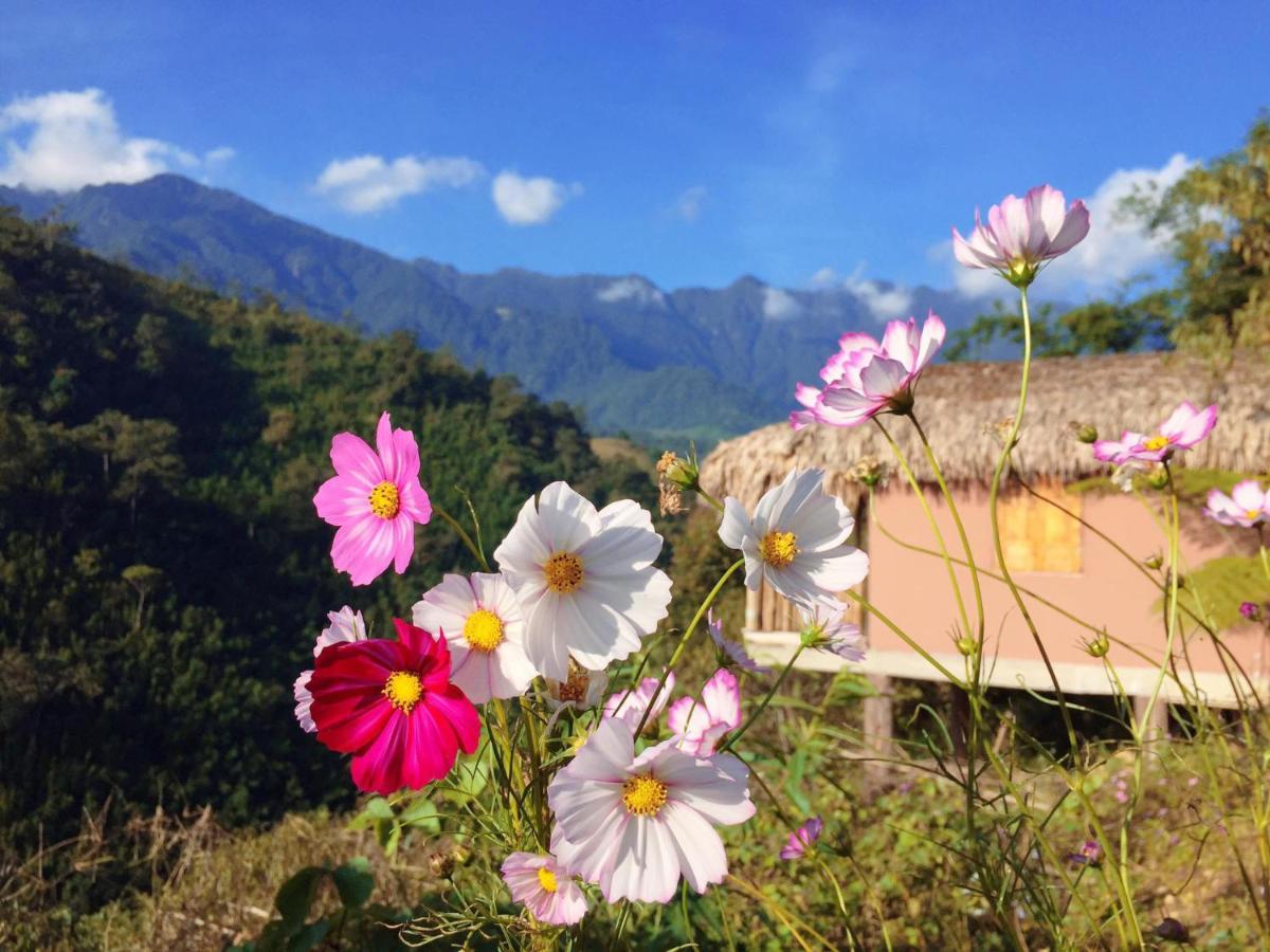 Chapa Farmstay - Mountain Retreat Sa Pa Kültér fotó