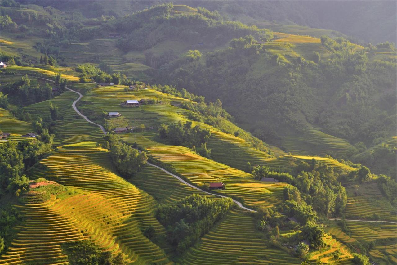 Chapa Farmstay - Mountain Retreat Sa Pa Kültér fotó