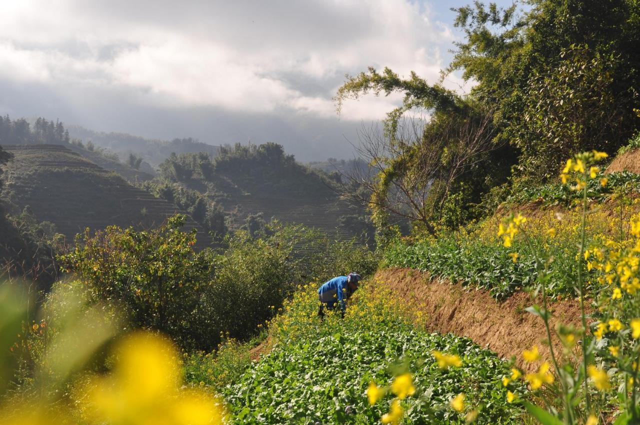 Chapa Farmstay - Mountain Retreat Sa Pa Kültér fotó