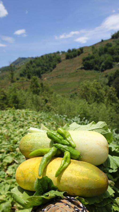 Chapa Farmstay - Mountain Retreat Sa Pa Kültér fotó